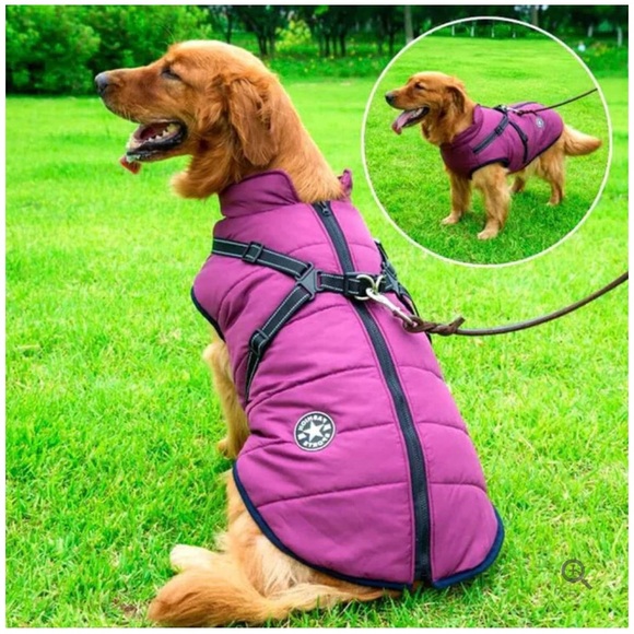 Waterproof Winter Dog Jacket with Fleece interior and Built-In Harness - Picture 1 of 6